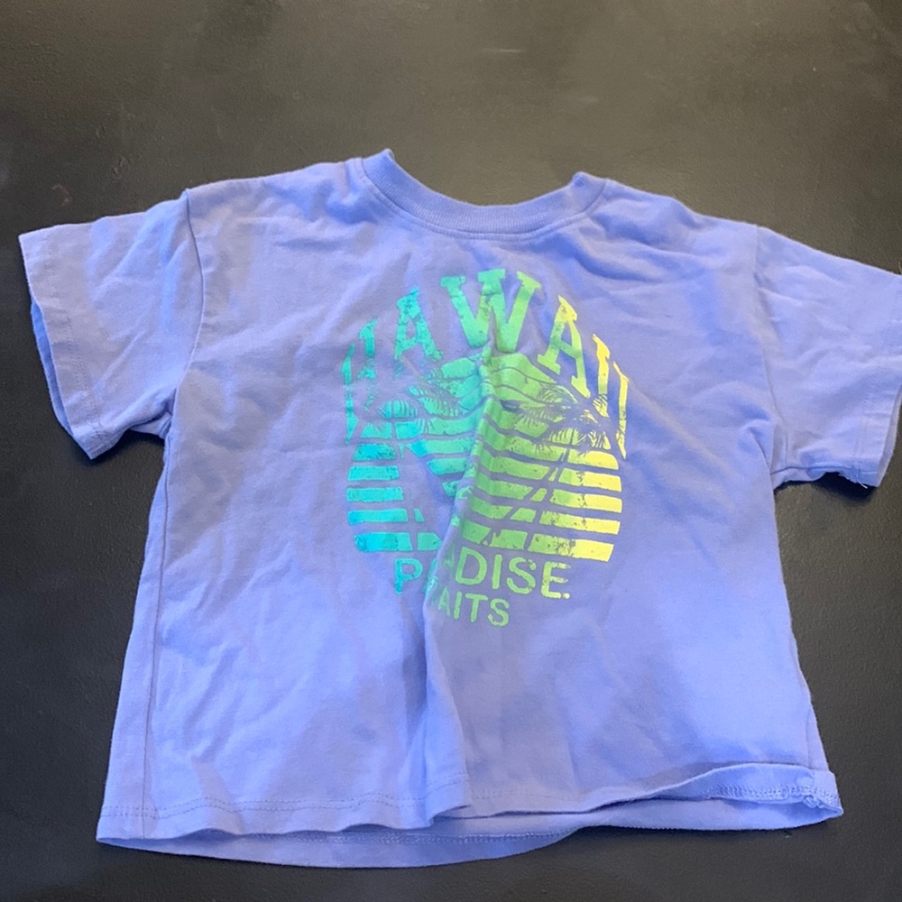 Purple “Hawaii” Graphic Crop Tee